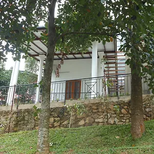 https://lavender-hills.negombohotels.net